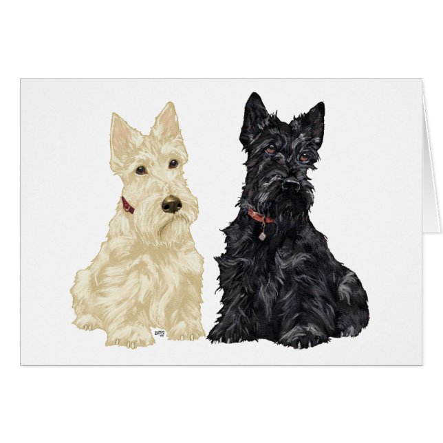 Wheaten and Black Scottish Terriers (Front Horizontal)