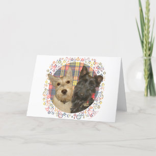 Wheaten & Black Scotties on Tartan Holiday Card