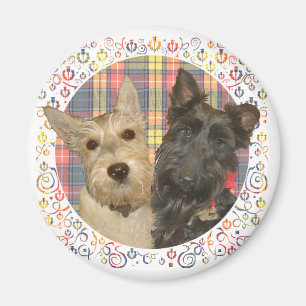 Wheaten & Black Scotties on Tartan Magnet