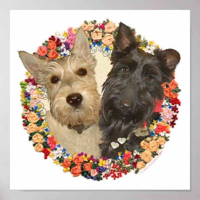 Wheaten & Black Scotties Poster (Front)