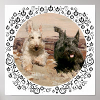 Wheaten & Black Scotties Running