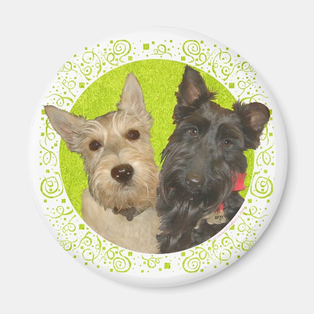 Wheaten & Black Scottish Terriers Magnet (Front)