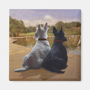 Wheaten & Black Scottish Terriers Magnet