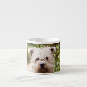Wheaten_glen_of_imaal.png Espresso Cup