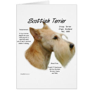 Wheaten Scottie History