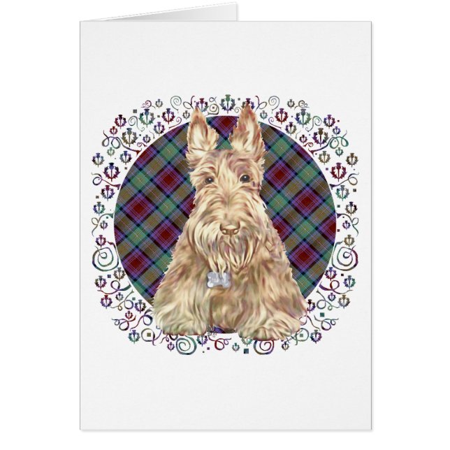 Wheaten Scottie Tartan (Front)