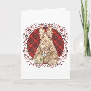 Wheaten Scottie Tartan Card