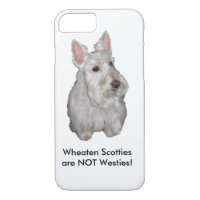 Wheaten Scotties are NOT Westies!