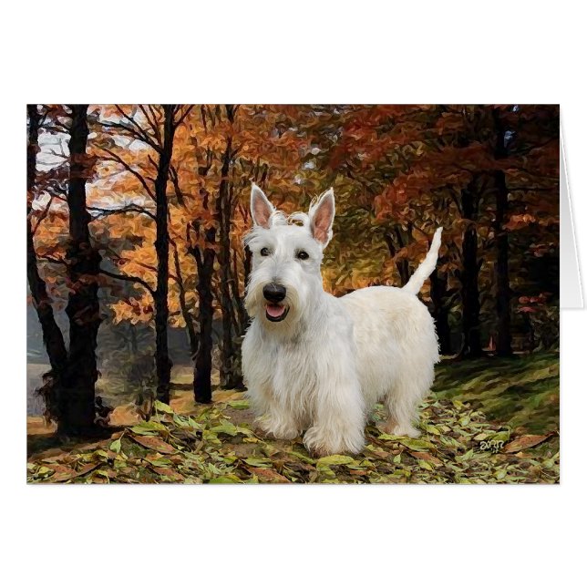 Wheaten Scottish Terrier Autumn (Front Horizontal)