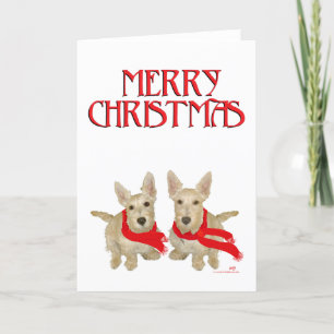 Wheaten Scottish Terrier Chirstmas Holiday Card