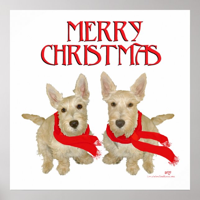 Wheaten Scottish Terrier Chirstmas Poster (Front)