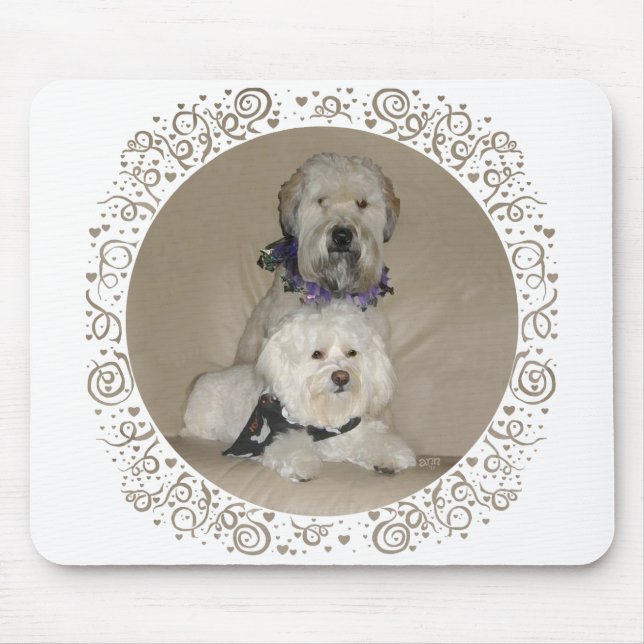 Wheaten Terrier and Havanese Mouse Pad (Front)