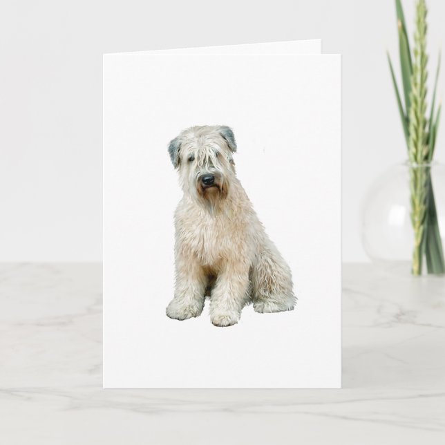 Wheaten Terrier (C) Card (Front)