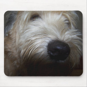 Wheaten Terrier Dog Face Mouse Pad