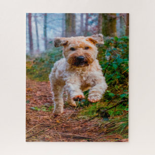 Wheaten Terrier Dog Jigsaws. Jigsaw Puzzle
