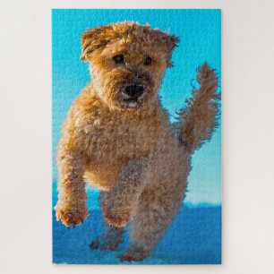 Wheaten Terrier Dog Jigsaws. Jigsaw Puzzle