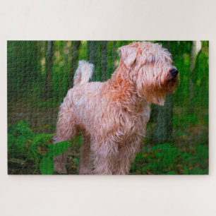 Wheaten Terrier Dog Jigsaws. Jigsaw Puzzle