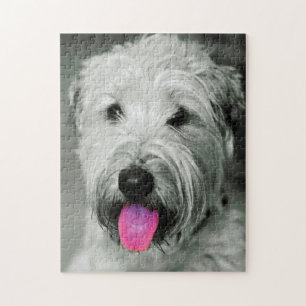 Wheaten Terrier Dog Jigsaws. Jigsaw Puzzle