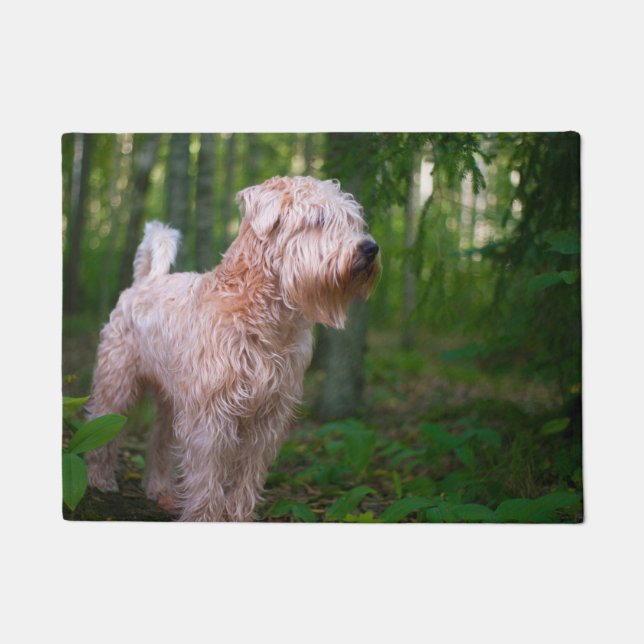 Wheaten Terrier. Doormat (Front)