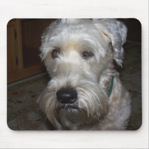 Wheaten Terrier Mouse Pad