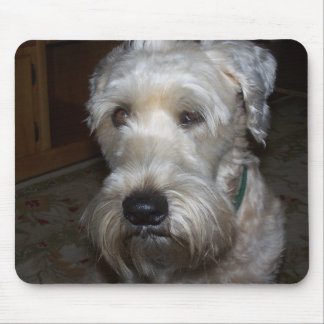 Wheaten Terrier Mouse Pad