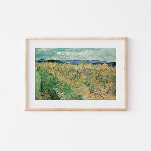 Wheatfield with Cornflowers Vincent van Gogh Poster