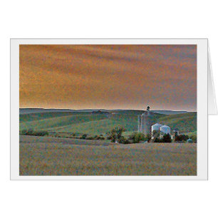 Wheatfields