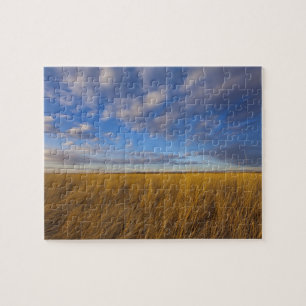 Wheatgrass and dramatic skies at Freezeout Lake Jigsaw Puzzle