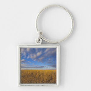 Wheatgrass and dramatic skies at Freezeout Lake Key Ring