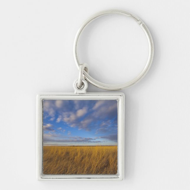 Wheatgrass and dramatic skies at Freezeout Lake Key Ring (Front)
