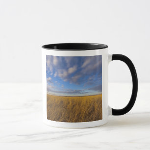 Wheatgrass and dramatic skies at Freezeout Lake Mug
