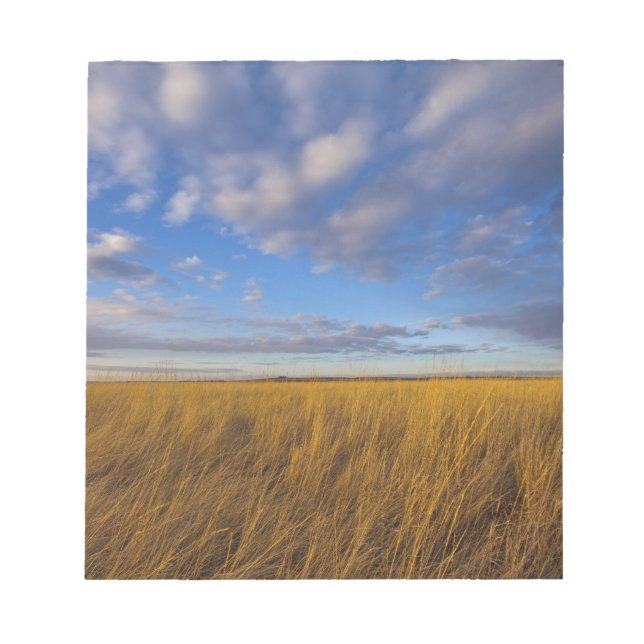 Wheatgrass and dramatic skies at Freezeout Lake Notepad (Front)