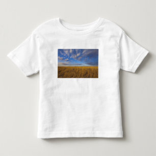 Wheatgrass and dramatic skies at Freezeout Lake Toddler T-Shirt