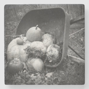 Wheel Barrow and Left Over Pumpkins in Autumn Stone Coaster