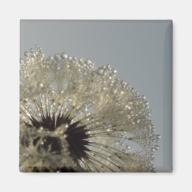 Wheel of droplets magnet (Front)