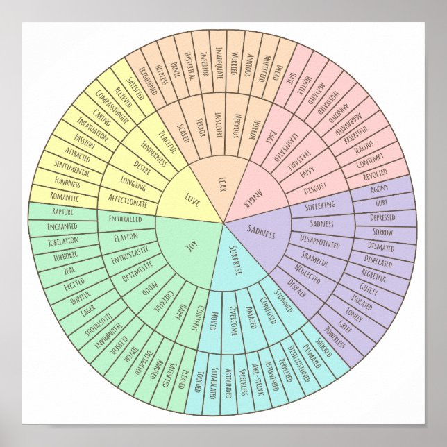 Wheel of emotions poster (Front)