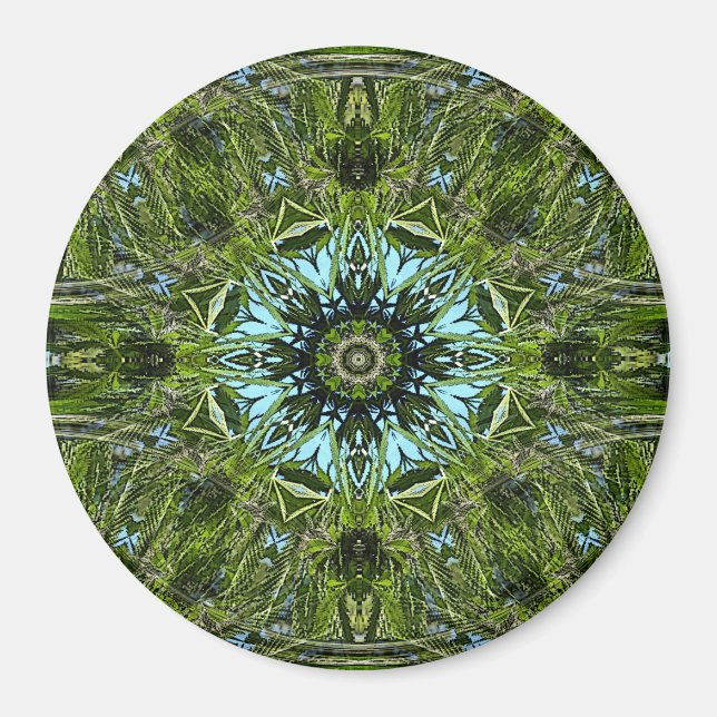 Wheel of herbs..... magnet (Front)