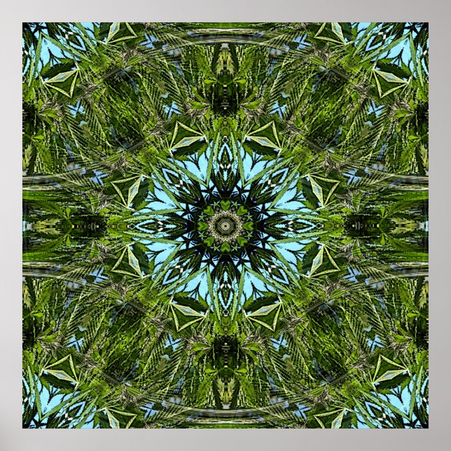 Wheel of herbs..... poster (Front)