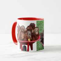 Wheelbarrow Orangutans
