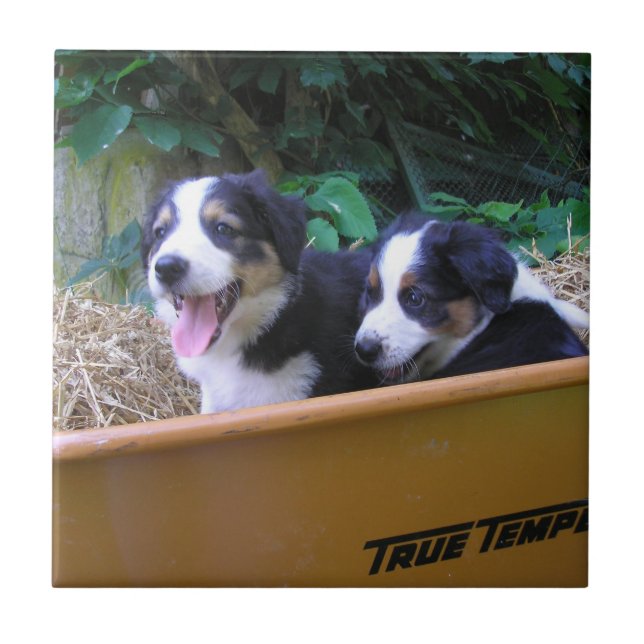 Wheelbarrow Ride Ceramic Tile (Front)