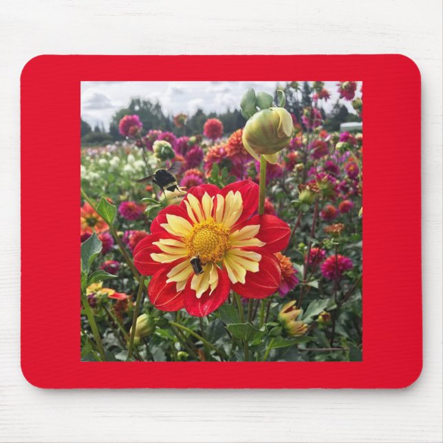Wheels Dahlia Mouse Pad (Front)