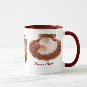 Whelk Left Turn, Nautilus, Lions Paw Mug