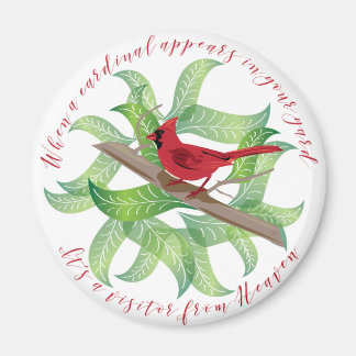 When a cardinal appears in your yard... magnet