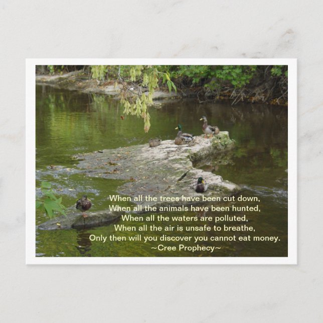 When All Postcard (Front)