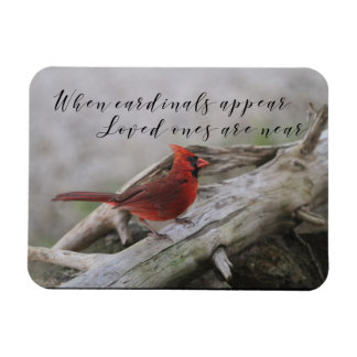 When cardinals appear, loved ones are near magnet
