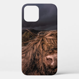 WHEN I VISIT THE NORTH OF SCOTLAND I CAME ACROSS T iPhone 12 CASE