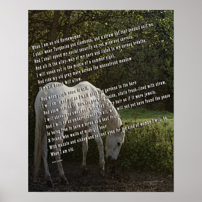 When I'm an Old Horsewoman III Poster (Front)