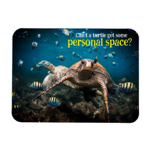 When life gets tough, just keep swimming magnet