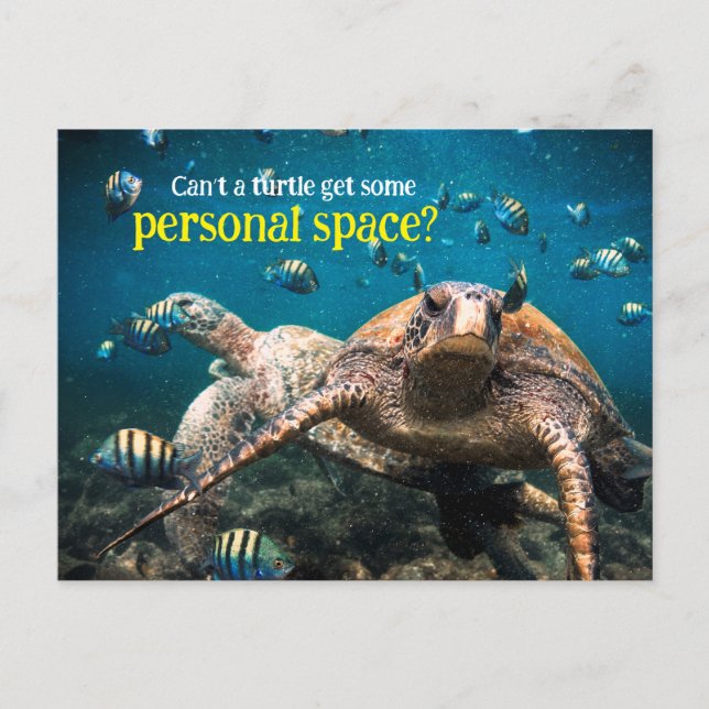 When life gets tough, just keep swimming  postcard (Front)