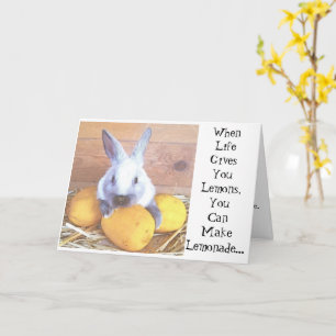 When Life Gives You Lemons Bunny Card